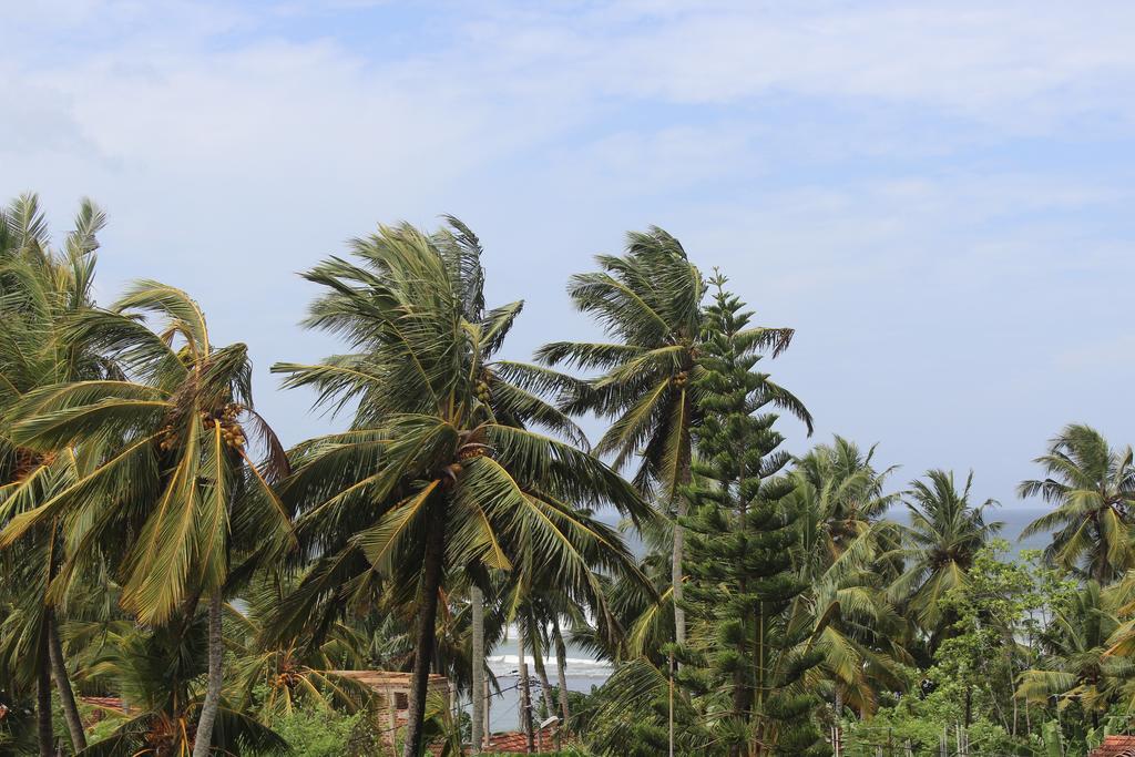 Lion Palace Weligama Εξωτερικό φωτογραφία